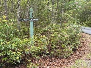 FR16 Opossum Pa #FR 16, Brevard, NC 28712