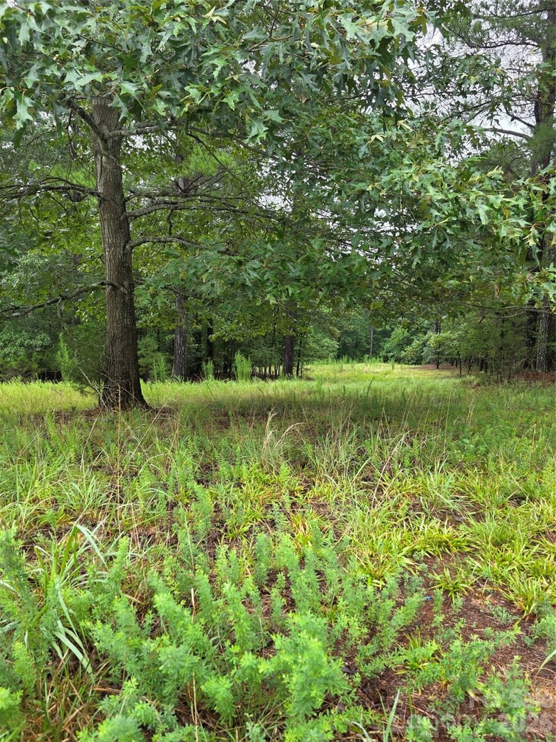 283 Rivercliff Dr, Stony Point, NC 28678