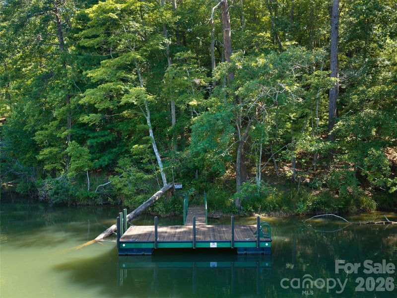 South Cove Rd, Mill Spring, NC 28756