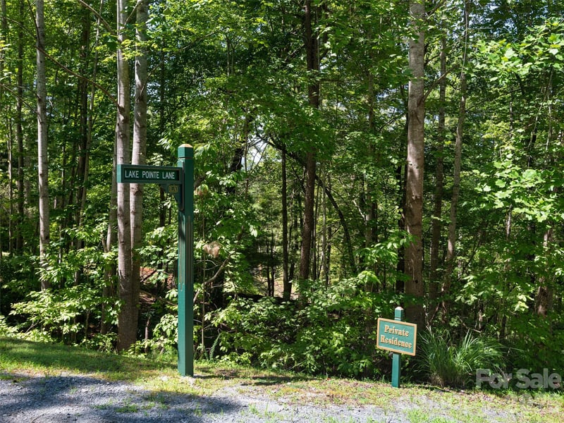 South Cove Rd, Mill Spring, NC 28756
