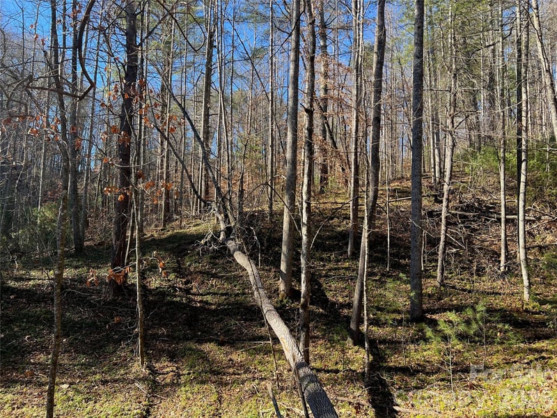 147 Falling Leaves Ln, Asheville, NC 28792