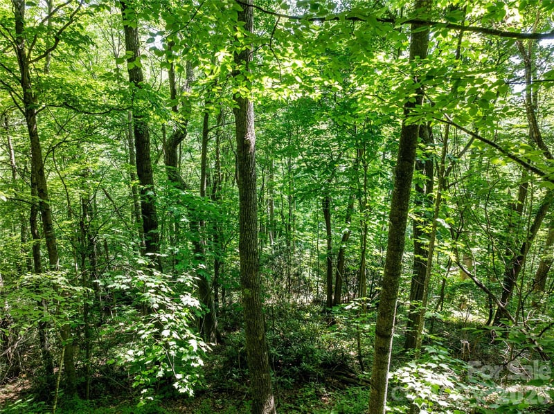 8 White Birch Ct #424, Black Mountain, NC 28711