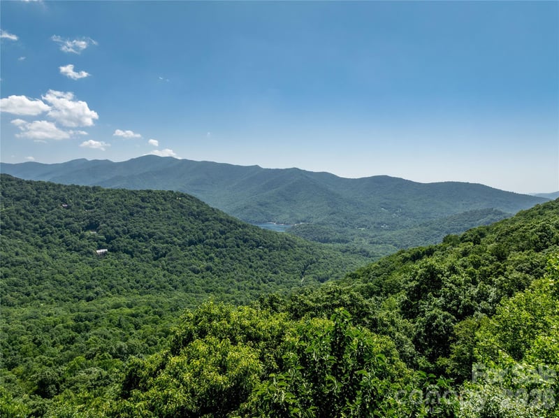 8 White Birch Ct #424, Black Mountain, NC 28711