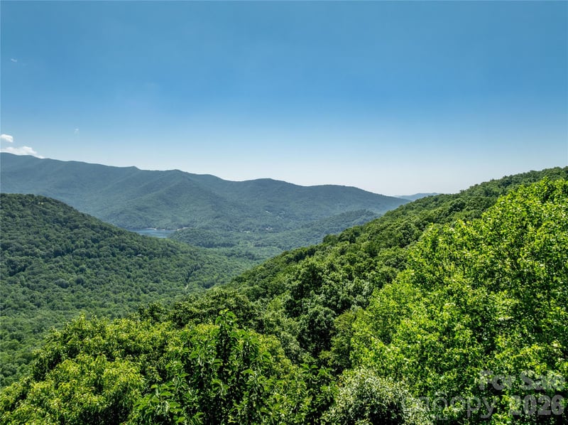 8 White Birch Ct #424, Black Mountain, NC 28711