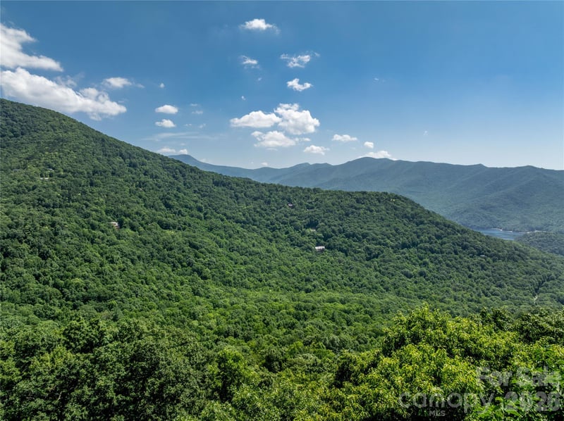8 White Birch Ct #424, Black Mountain, NC 28711
