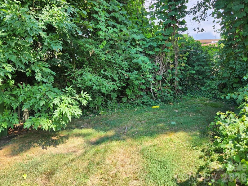 53 Max St, Asheville, NC 28801