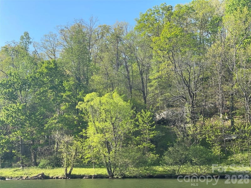 149 Sheridan Ln, Lake Lure, NC 28746
