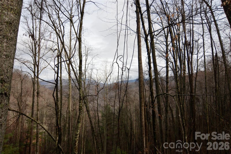 000 Jacks Knob Rd, Weaverville, NC 28787