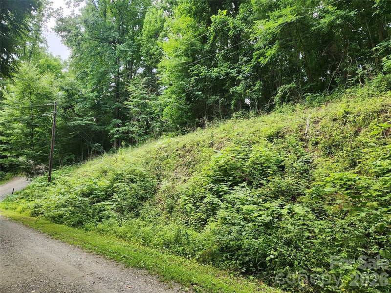 000 Jacks Knob Rd, Weaverville, NC 28787