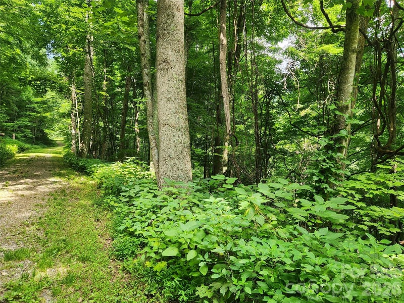 0000 Jacks Knob Rd, Weaverville, NC 28787