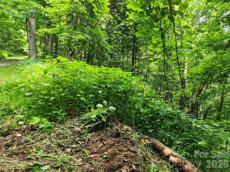 0000 Jacks Knob Rd, Weaverville, NC 28787