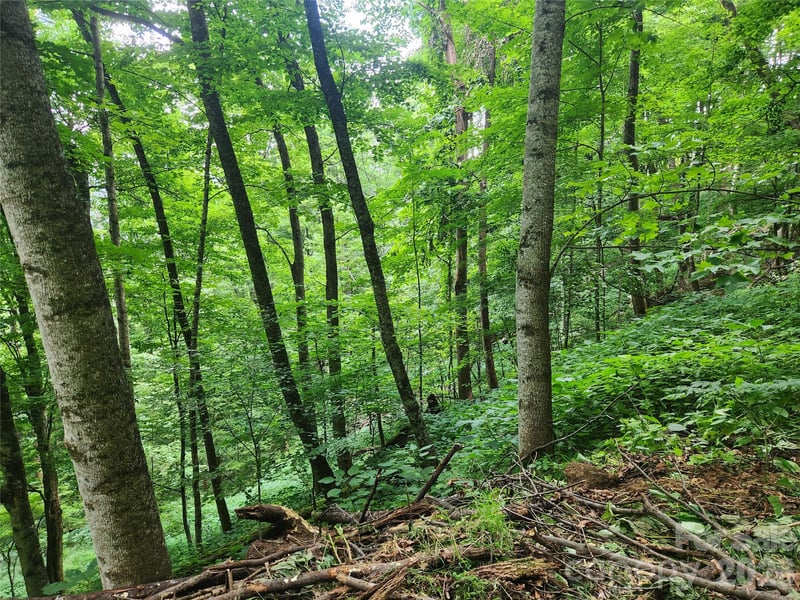 0000 Jacks Knob Rd, Weaverville, NC 28787
