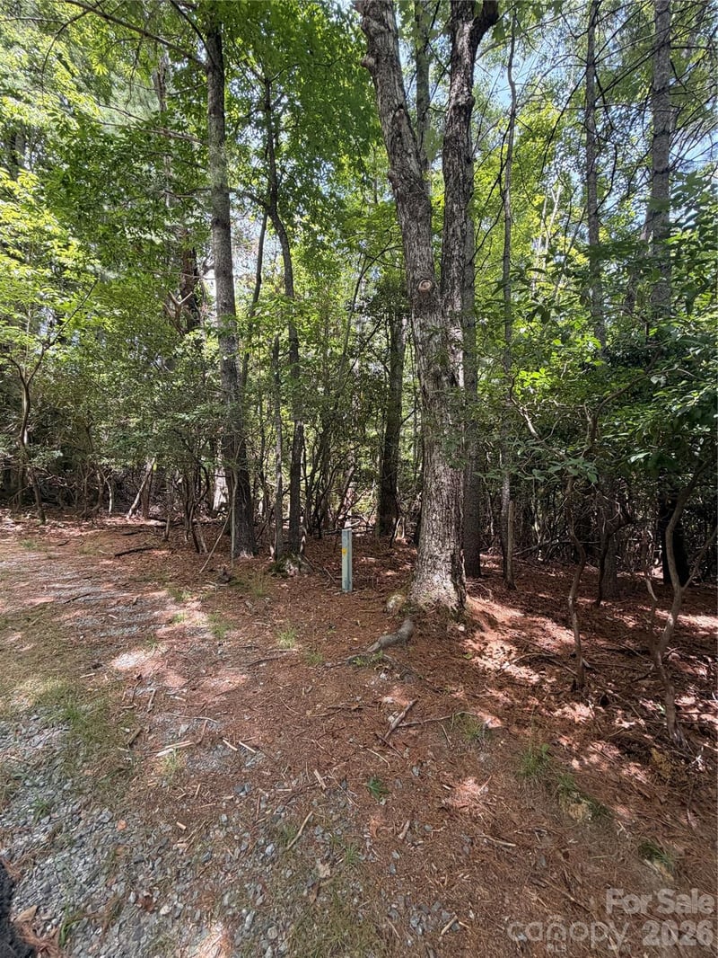TBD Dvga Ct #L031/U09, Brevard, NC 28712