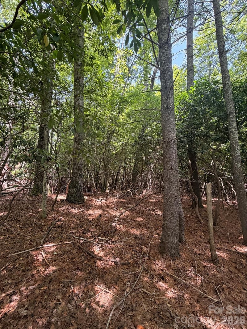 TBD Dvga Ct #L031/U09, Brevard, NC 28712
