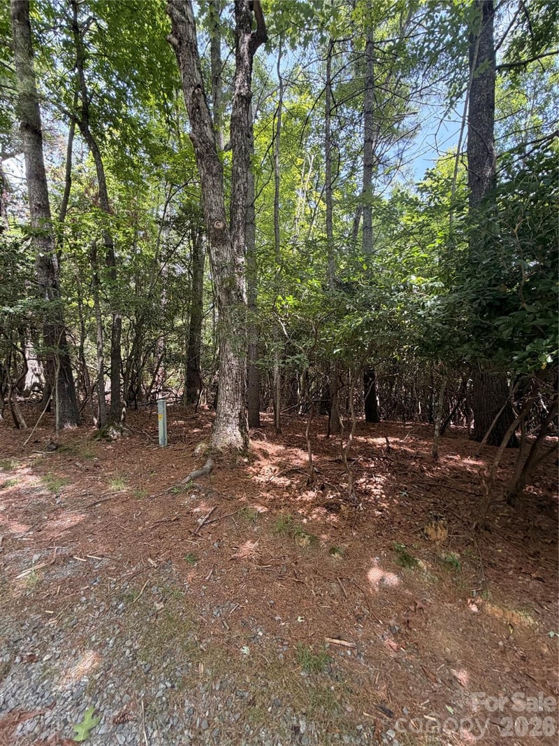 TBD Dvga Ct #L031/U09, Brevard, NC 28712