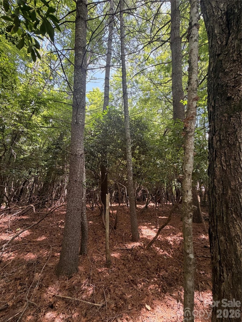 TBD Dvga Ct #L031/U09, Brevard, NC 28712