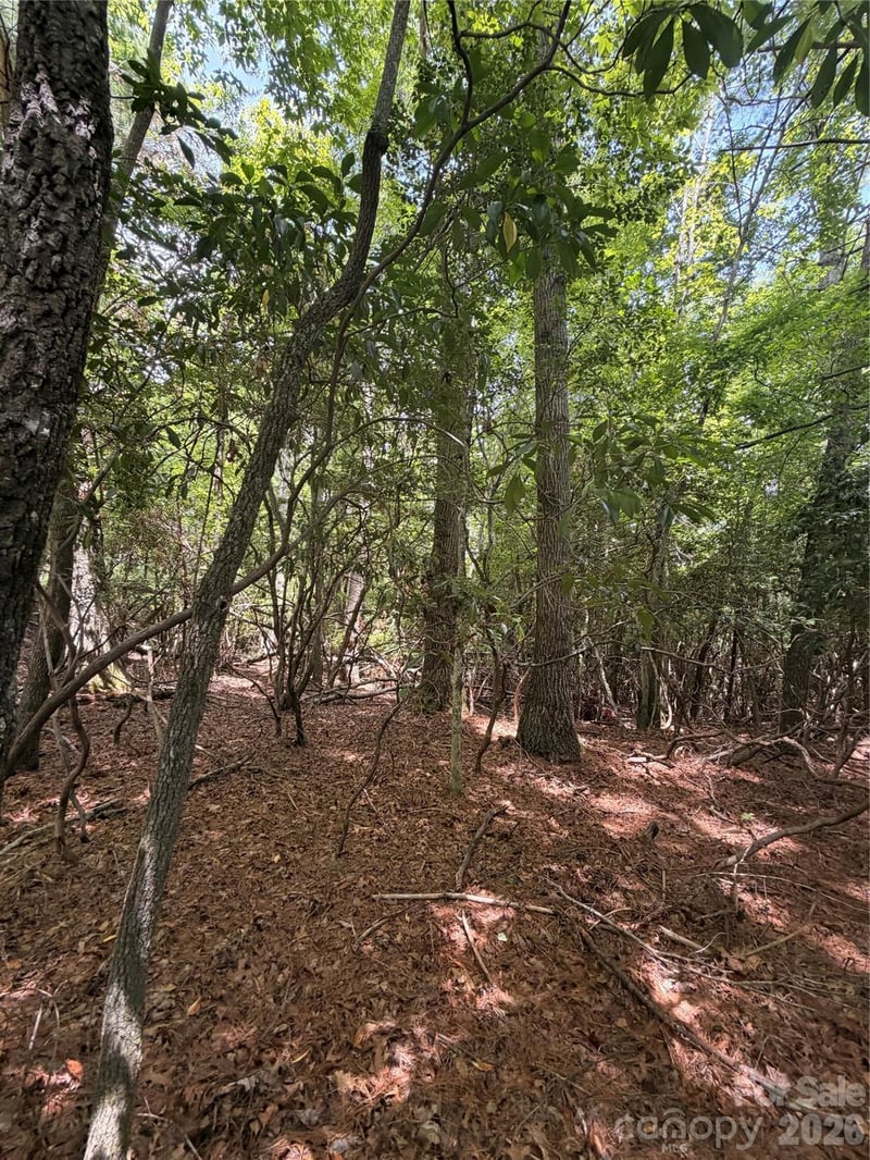 TBD Dvga Ct #L031/U09, Brevard, NC 28712