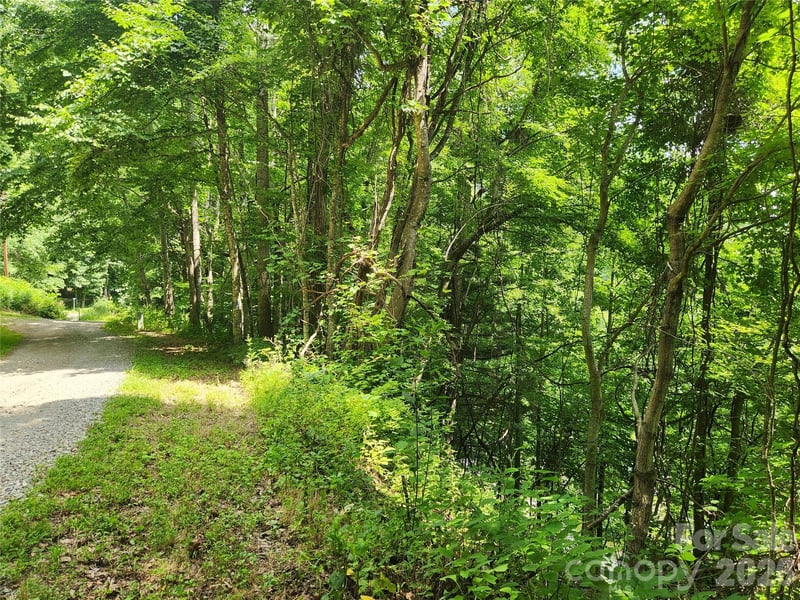 00 Green Ridge Falls Rd, Weaverville, NC 28787
