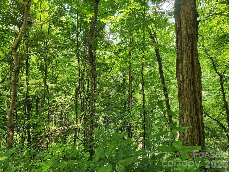 00 Green Ridge Falls Rd, Weaverville, NC 28787