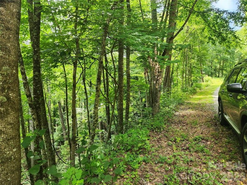 00 Green Ridge Falls Rd, Weaverville, NC 28787