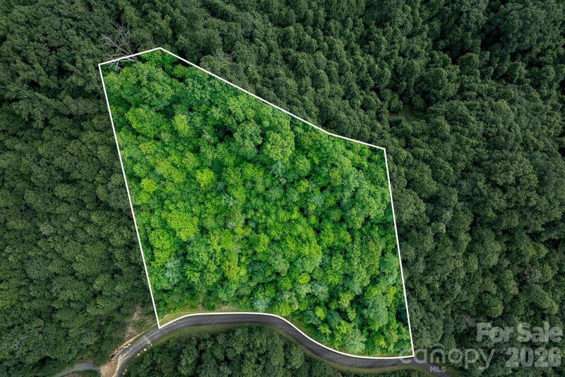 565 Pine Cone Trl, Marshall, NC 28753