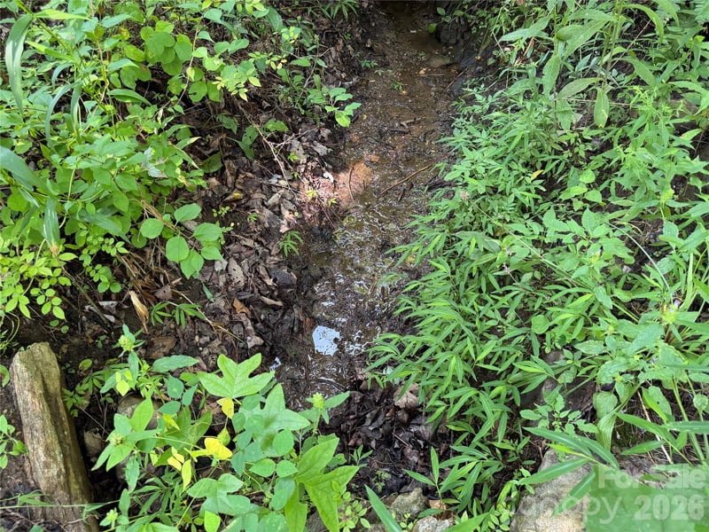 0000 Sorrells Creek Rd, Canton, NC 28716