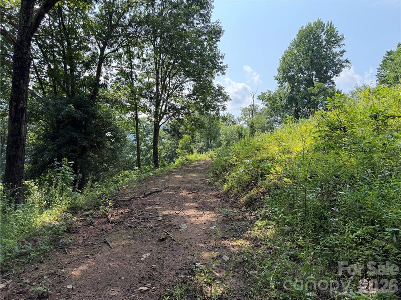 0000 Sorrells Creek Rd, Canton, NC 28716