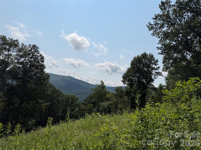0000 Sorrells Creek Rd, Canton, NC 28716