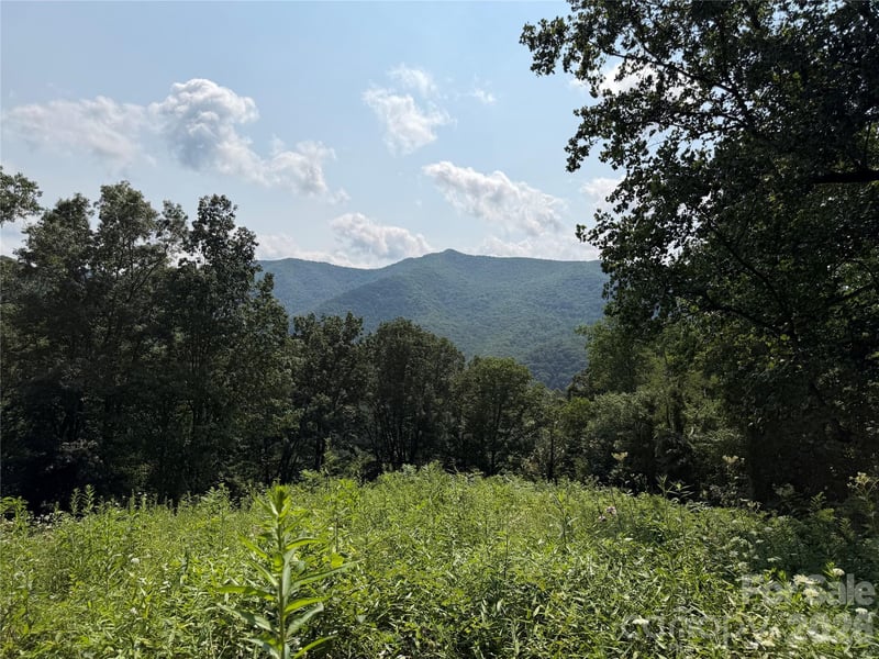 0000 Sorrells Creek Rd, Canton, NC 28716