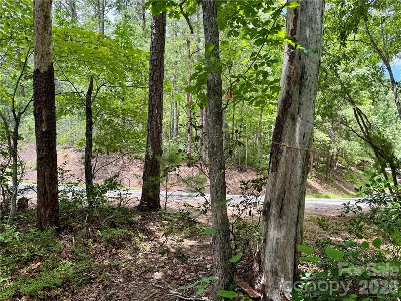 307 Fairway Dr, Lake Lure, NC 28746