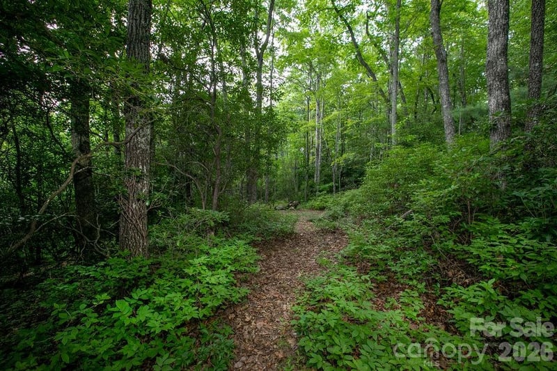 Lot 28 Big Hill Rd #28, Brevard, NC 28712