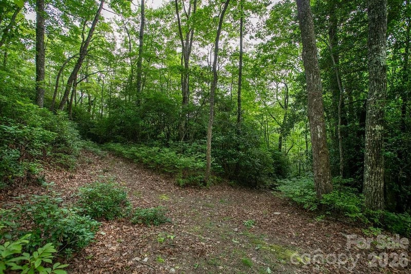 Lot 28 Big Hill Rd #28, Brevard, NC 28712