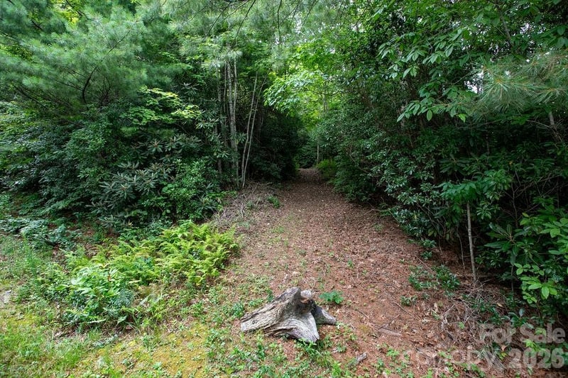 Lot 28 Big Hill Rd #28, Brevard, NC 28712
