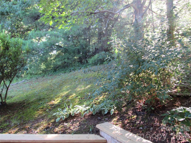 6 Woodlands Dr, Black Mountain, NC 28711