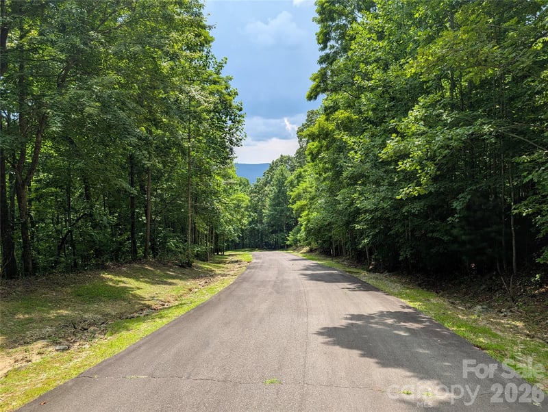 115 Ivywood Ln, Laurel Park, NC 28739