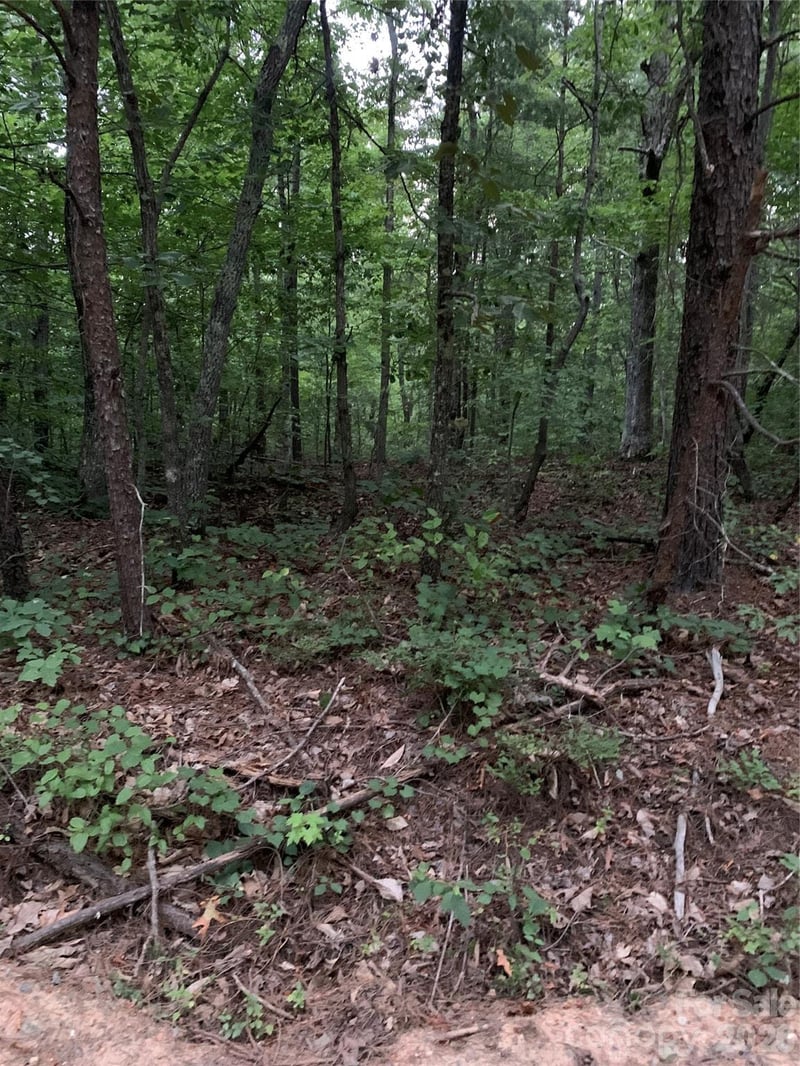 Ore Bank Rd, Smyrna, SC 29743