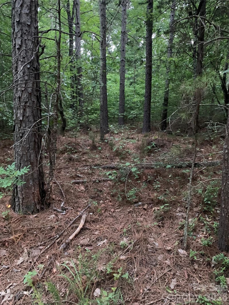 Ore Bank Rd, Smyrna, SC 29743