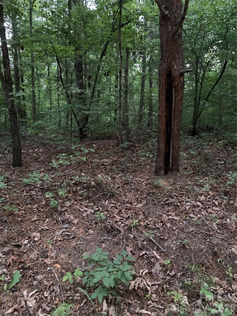Ore Bank Rd, Smyrna, SC 29743