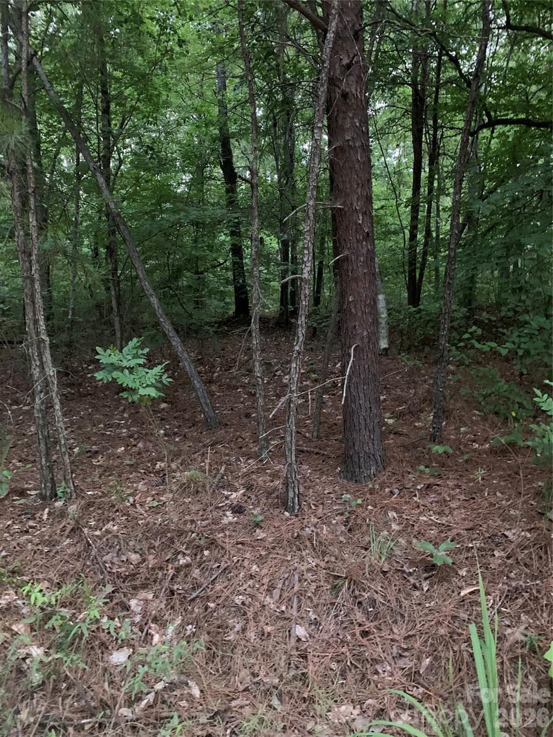 Ore Bank Rd, Smyrna, SC 29743