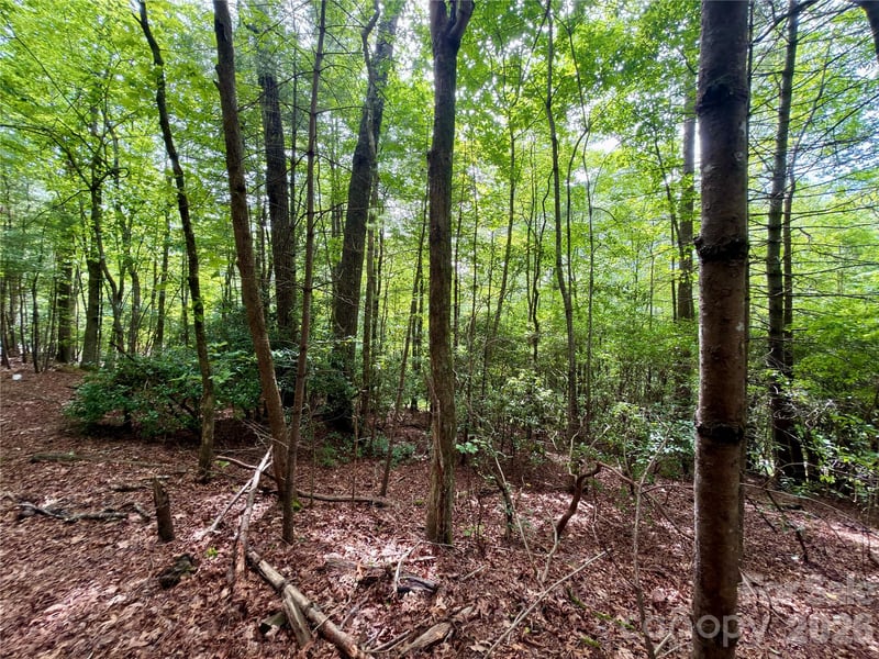 151 Katydid Ln, Hendersonville, NC 28739