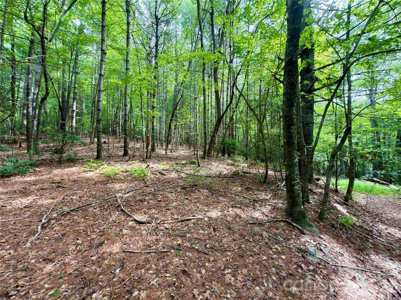 151 Katydid Ln, Hendersonville, NC 28739