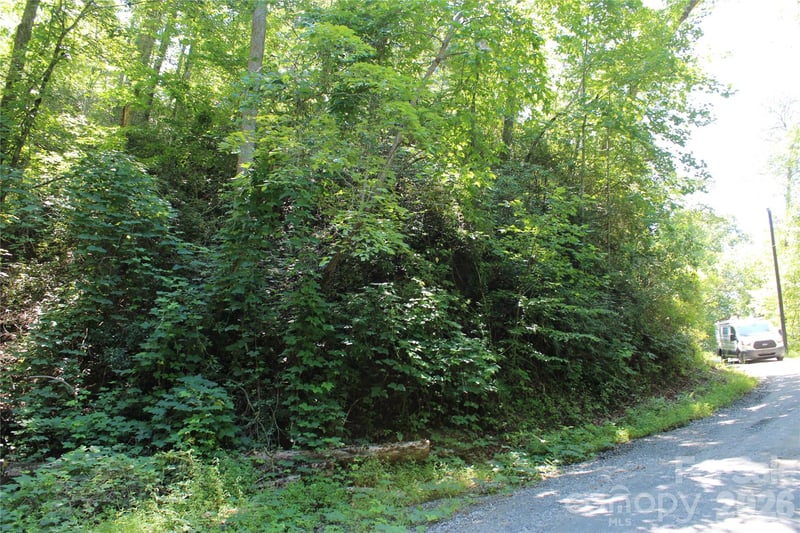 00 Sparrows Way, Lake Lure, NC 28746
