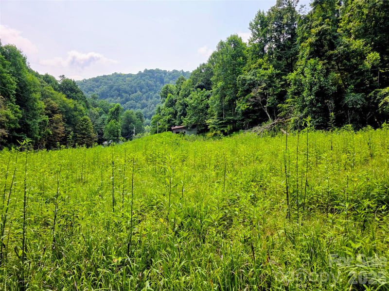 98 Will Wilson Rd, Burnsville, NC 28714