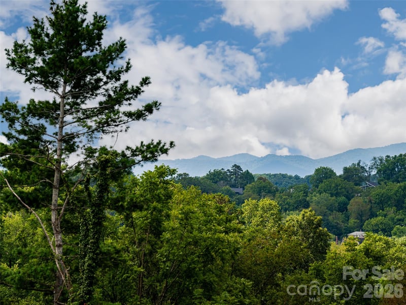 309 Ava Ln, Asheville, NC 28804