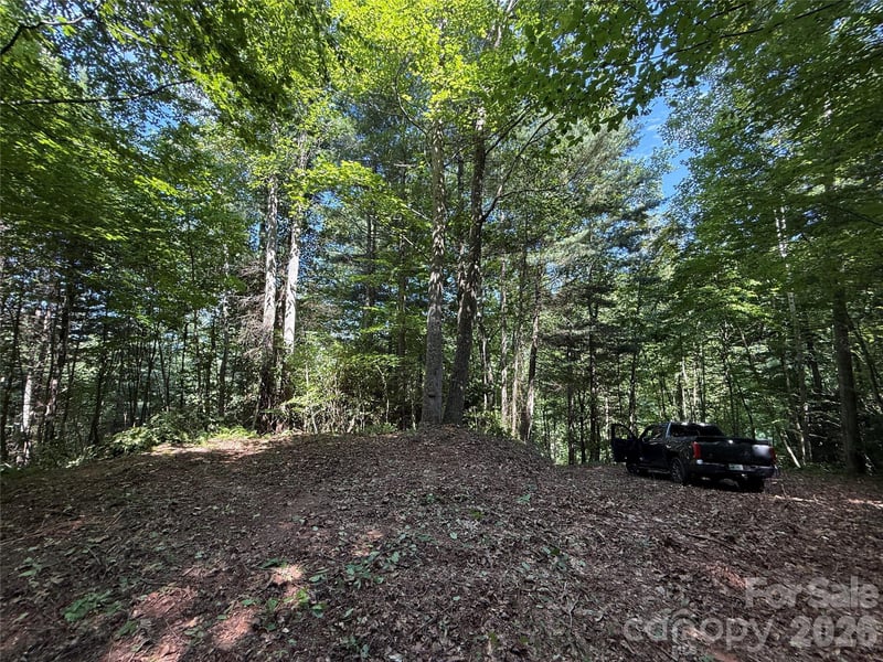 99999 Walking Horse Trl, Candler, NC 28715