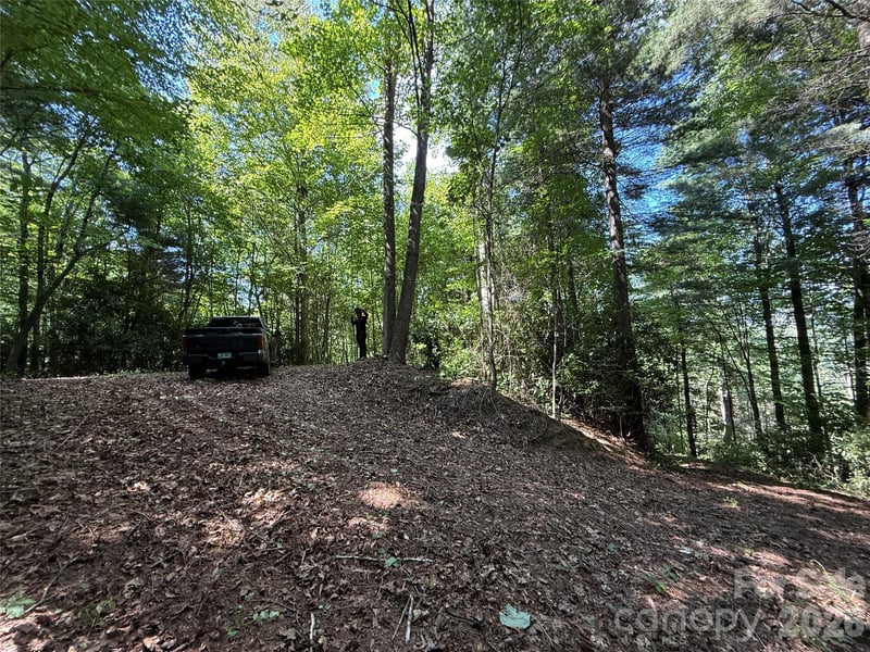 99999 Walking Horse Trl, Candler, NC 28715