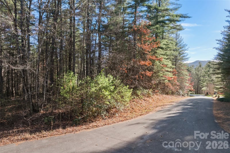 Daylily Dr Lot 20, Hendersonville, NC 28739