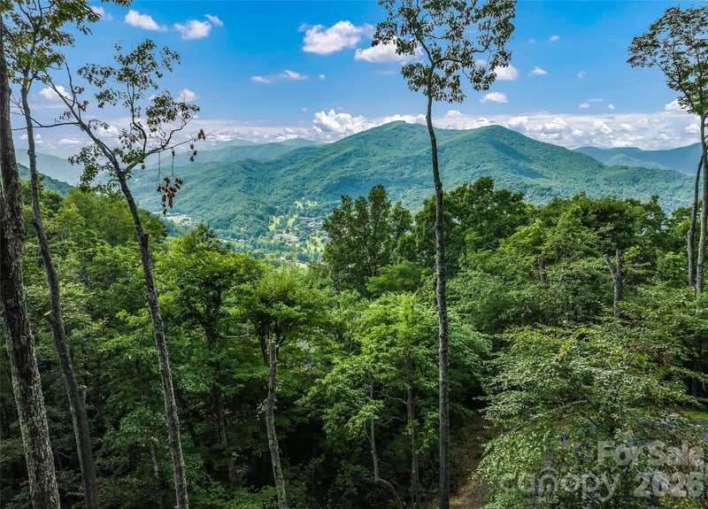 582 Tsalagi Trl, Maggie Valley, NC 28751