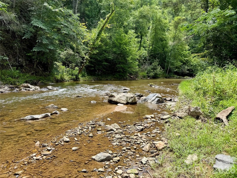 1156 Bear River Lodge Trl, Marshall, NC 28753