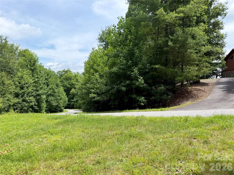 1156 Bear River Lodge Trl, Marshall, NC 28753